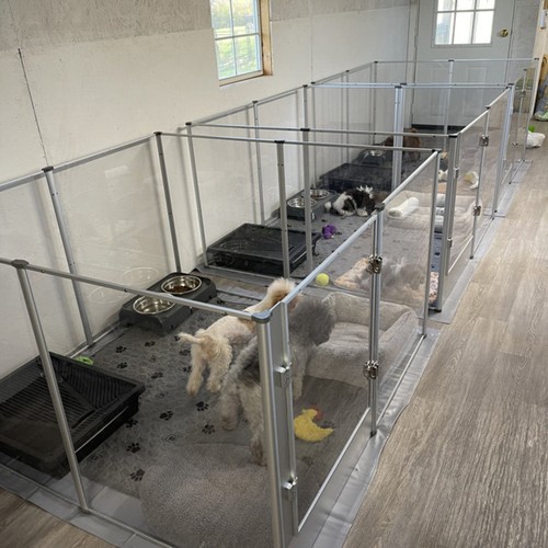 Acrylic indoor dog - indoor, playpen