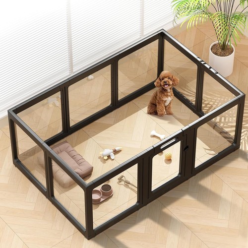 Climbhope clear acrylic dog - clear,