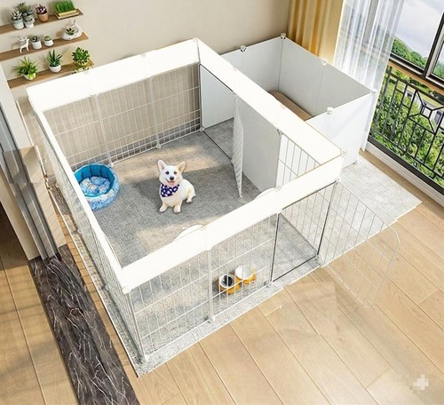 Dog playpen indoor with - dog, door